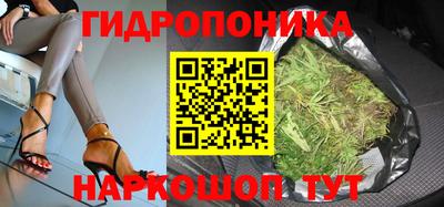 mdpv Анжеро-Судженск