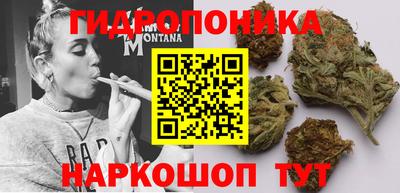 mdpv Анжеро-Судженск