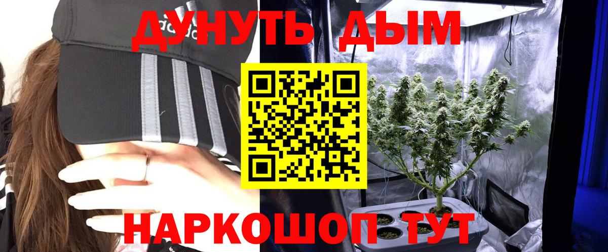 Шишки марихуана THC 21%  Конопля Amnesia  Кузнецк  Вход с VPN 